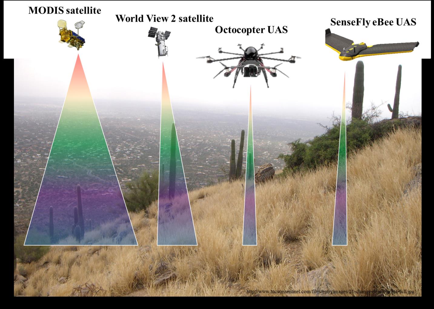 USGS and NAU scientists are developing a hierarchical, multi-sensor approach to detect buffelgrass at different spatial scales. Scientists are leveraging coarse- and fine-resolution satellite imagery (from MODIS and WorldView-2, respectively) and much finer resolution data from the UAS platforms shown here that carry sensors to acquire multispectral, hyperspectral, photogrammetric, and lidar measurements of vegetation, soil, and topography.