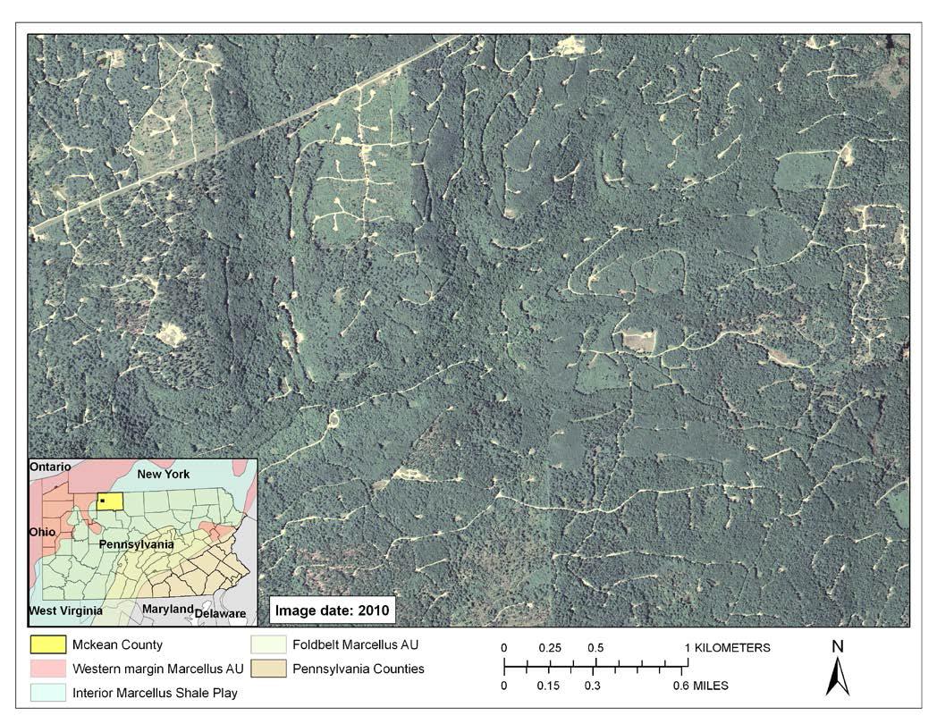 A forested landscape in McKean County, Pennsylvania, showing the distribution of roads, well pads and pipelines related to combined hydrocarbon development. This particular pattern of disturbance is primarily the result of conventional oil and gas development but highlights the combined effects of decades of hydrocarbon extraction in Pennsylvania. Source: National Agricultural Imagery Program.