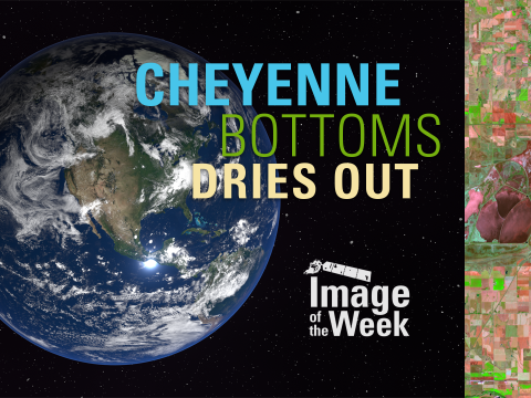 Cheyenne Bottoms Dries Out