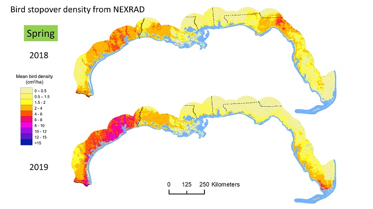 Distribution of Migratory Landbirds around the Gulf of Mexico | Land  Imaging Report Site