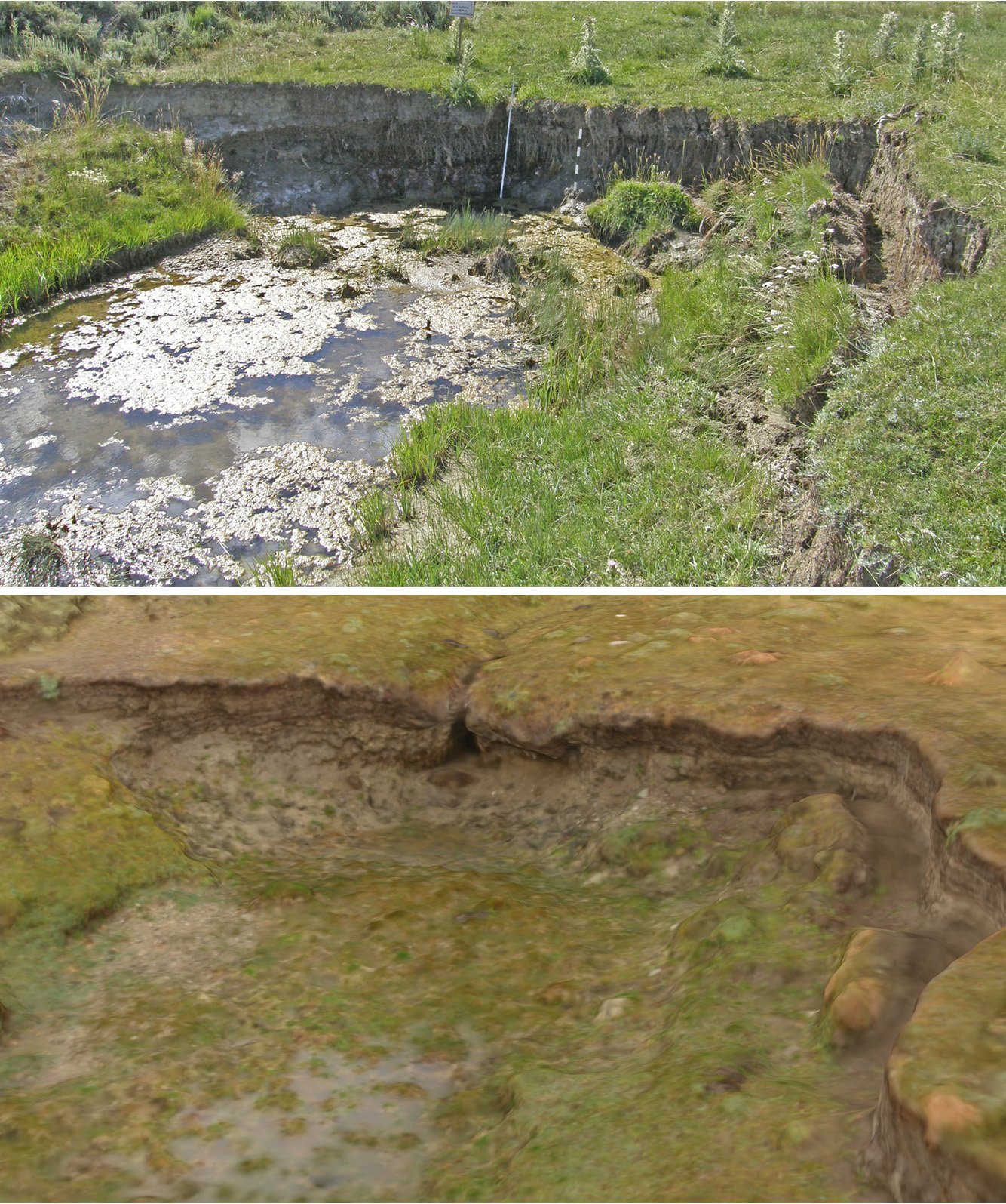A headcut photograph (upper, 2010) and SfM 3D model (lower, 2013) illustrate the loss of organic soil and water-holding capacity in this wet meadow.