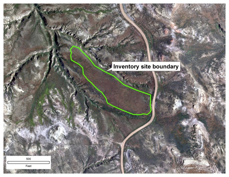 An inventory site and one of the orthomosaic tiles. The classified cheatgrass infestations are shown in yellow. North is oriented toward the top of the image.