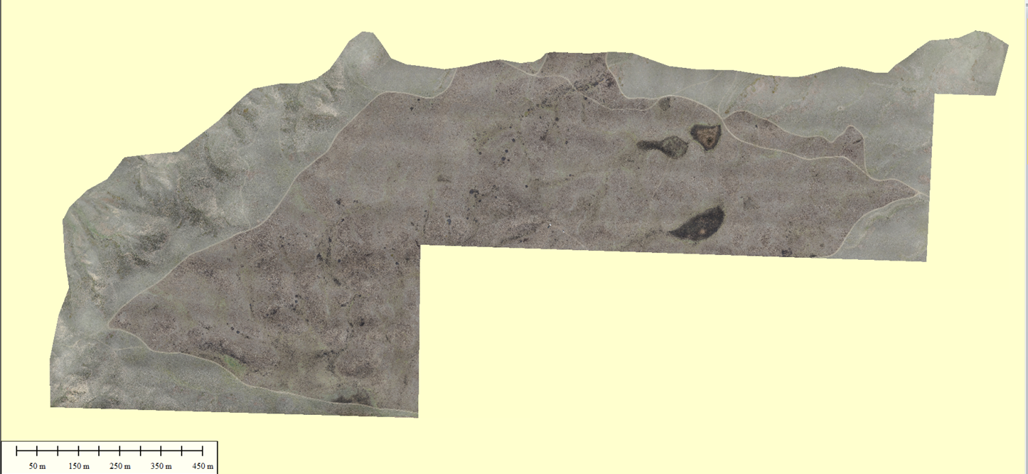Orthophoto mosaic derived from UAS-collected imagery, Henry Smith archaeological site. North is oriented toward the top of the image.
