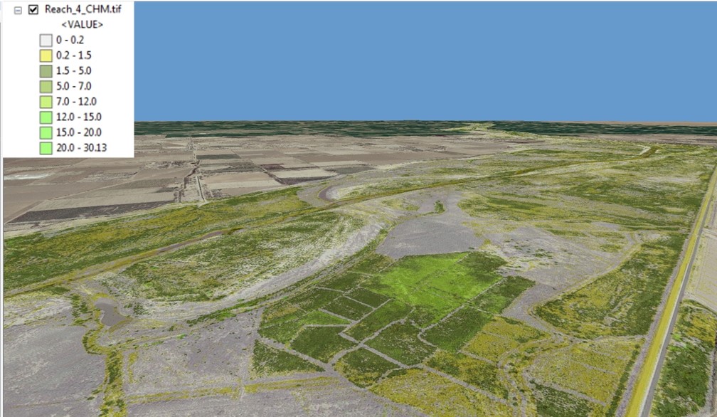 3D picture of lidar-derived canopy height model looking north toward the U.S./Mexico  border