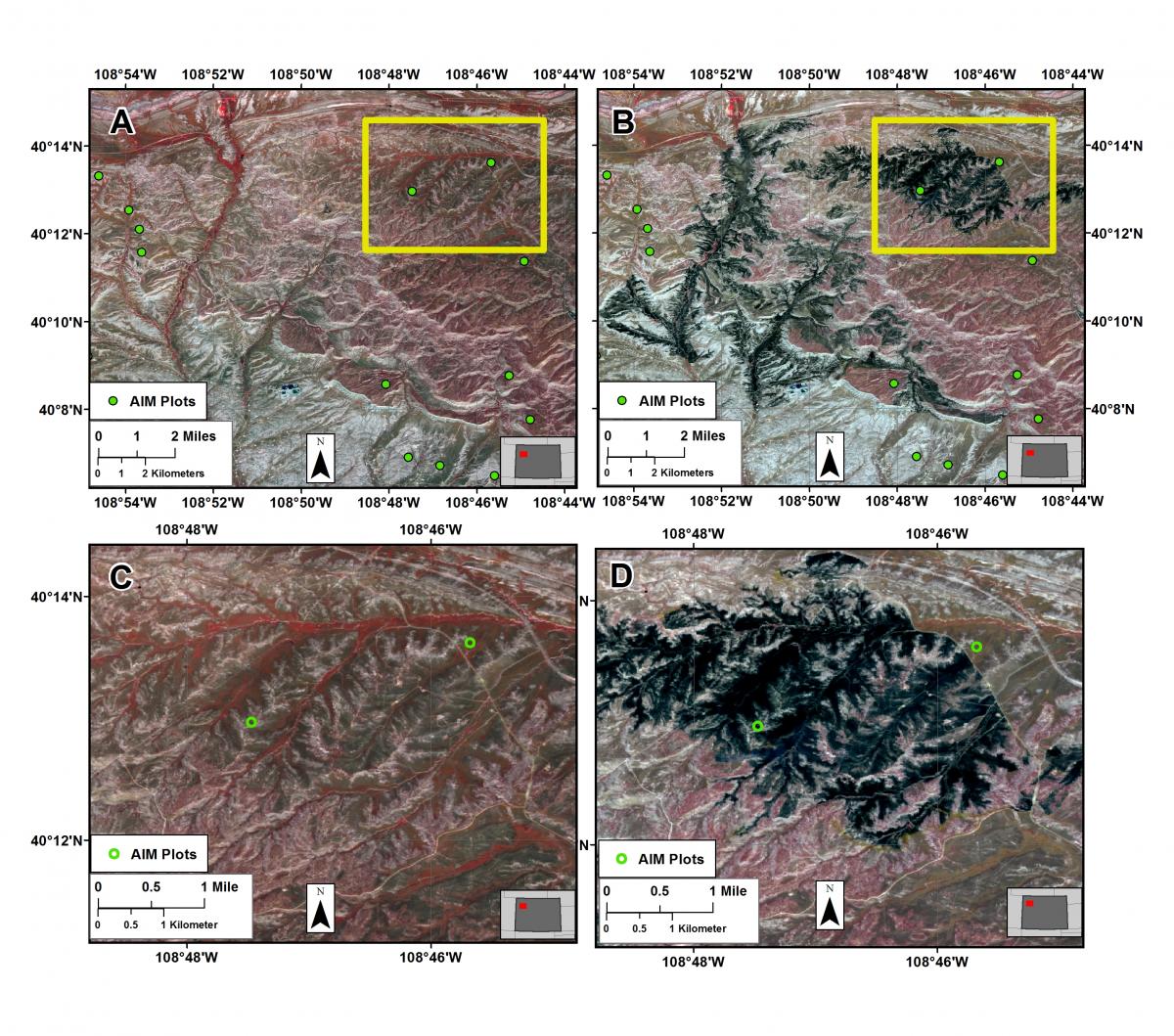 Figures A and B: Sentinel-2 imagery acquired before and after the Dead Dog Fire in northwestern Colorado in May and June 2017, respectively. Assessment, Inventory and Monitoring (AIM) plot locations are in green. Figures C and D: close up of pre- and post-fire Sentinel-2 imagery identifying an AIM plot disturbance.  AIM plots locations are in green. 