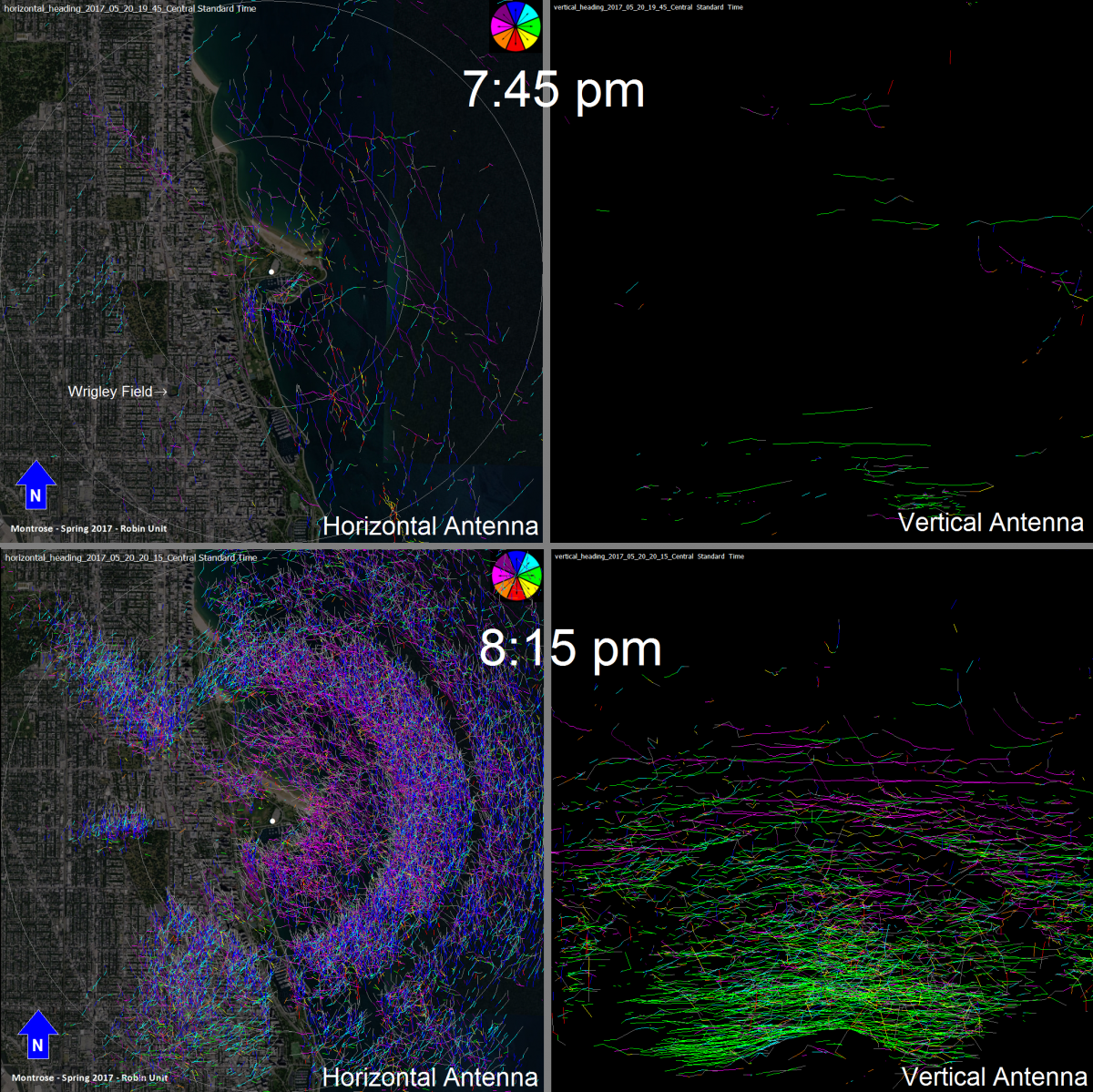 Comparison of horizontal (left) and vertical (right) radar antenna returns just before (top) and just after (bottom) sunset on May 20, 2017, at the Chicago study site (sunset was 8:09 pm). Each image represents targets tracked during a 15-minute sample.  Colors on the horizontal image represent direction of movement—blue for north, green for east, red for south, and pink for west; colors on the vertical antenna image are meaningless. The outer circle on the horizontal image has a radius of 3.7 km; the top of the vertical image is 2.8 km in altitude. Horizontal detection was largely blocked by the Chicago skyline to the west of the radar, while it was largely unobstructed to the east (over the lake).  Although a few gaps allowed some target detection to the west, the absence of tracks does not indicate low migrant activity.