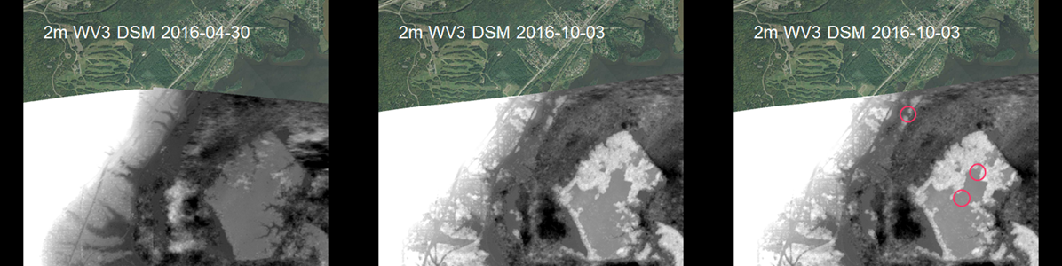 Bottom left: 2-m Digital Surface Model derived from WorldView-3 stereo images taken on April 30, 2016 (leaf-off). Bottom center: 2-m Digital Surface Model derived from WorldView-3 stereo images taken on October 3, 2016. Bottom right: The same October 3 image with a red circle highlighting a new forest cut through the middle of Tallas Island. The two red circles in the lower right highlight the canopy disappearance of two black ash forest wetland clumps since they lose their leaves in mid-September.