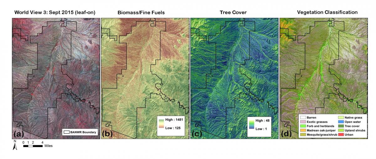 Example data products include a) orthorectified WorldView-3 satellite image, b) fine fuel biomass, c) woody plant cover (trees and shrubs), and d) vegetation cover classes.