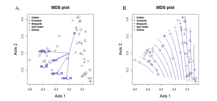 Random forest-derived multidimensional scaling (MDS) plot based on lidar and image spectra showing A) tree species and predictor variables important to distinguishing individual species and B) tree species overlaid with lidar canopy height (Gaussian fit), which was the most important predictor for species classification. Older cottonwood trees were classified with 82% accuracy based primarily on canopy height. Predictor variables shown are the lidar canopy height (ldr_ht); lidar relative density at 5 to 10 m (rds5_10), 10 to 15 m (rds10_15), and 15 to 35 m height (rds15_35); normalized difference vegetation index (NDVI); and bare earth elevation (el). Individual spectral bands were not important predictors.