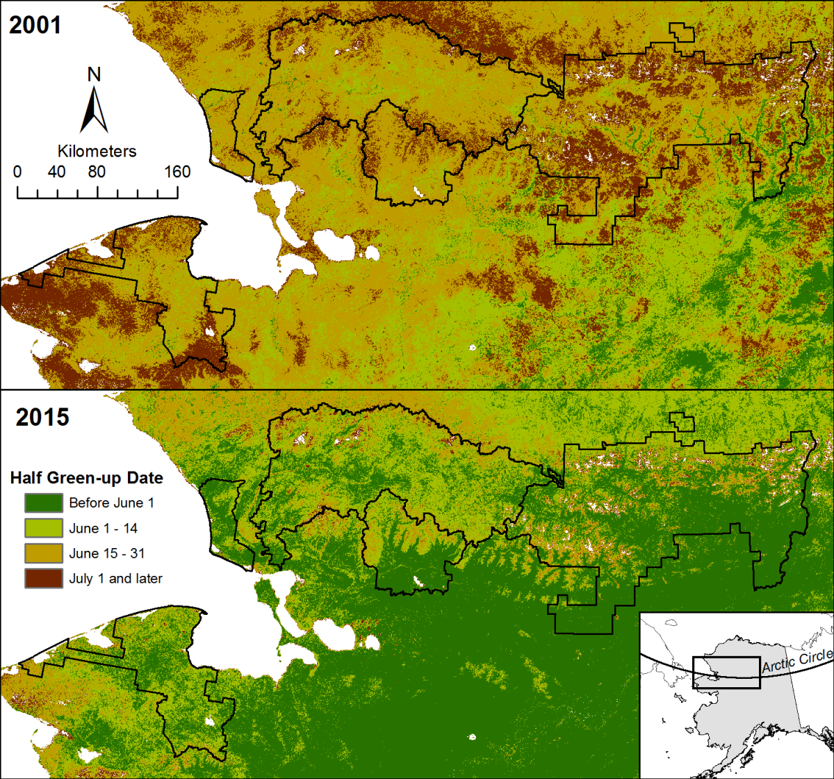 Date of the midpoint of spring vegetation green-up in the national parks of northern Alaska (outlined in black). The upper image is from 2001, a year with late green-up, and the lower image is from 2015, a year with early green-up.