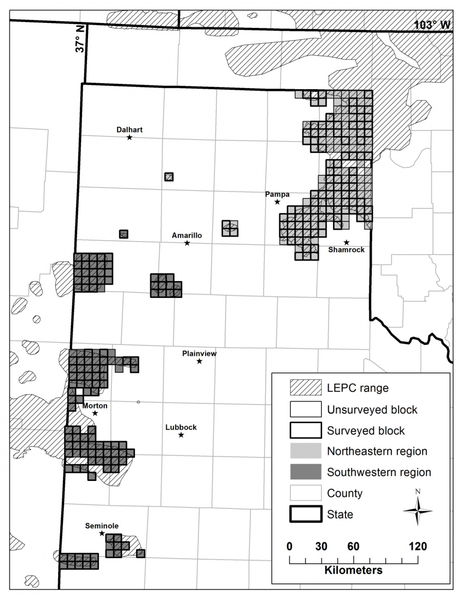Sampling frame of 285, 7.2-km × 7.2-km blocks (208 blocks surveyed) encompassing occupied range of lesser prairie-chickens (LEPC) in Texas.