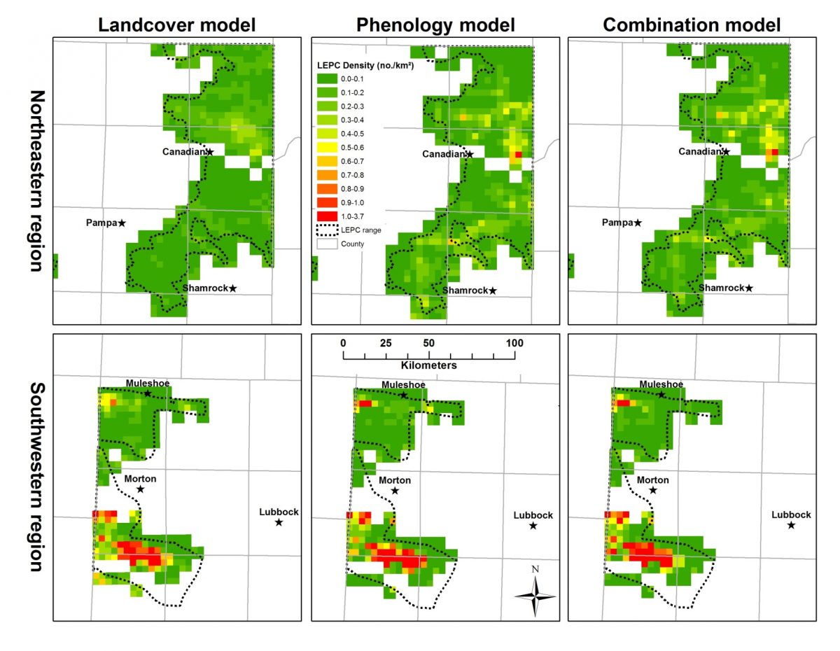 Lesser prairie-chicken (LEPC) density (no./km2) per quadrat for models receiving most support from three model sets, 2010–2011, Texas. The combined model included land cover and land surface phenology (LSP) metrics. Incorporating LSP metrics improved specificity of spatial predictions.