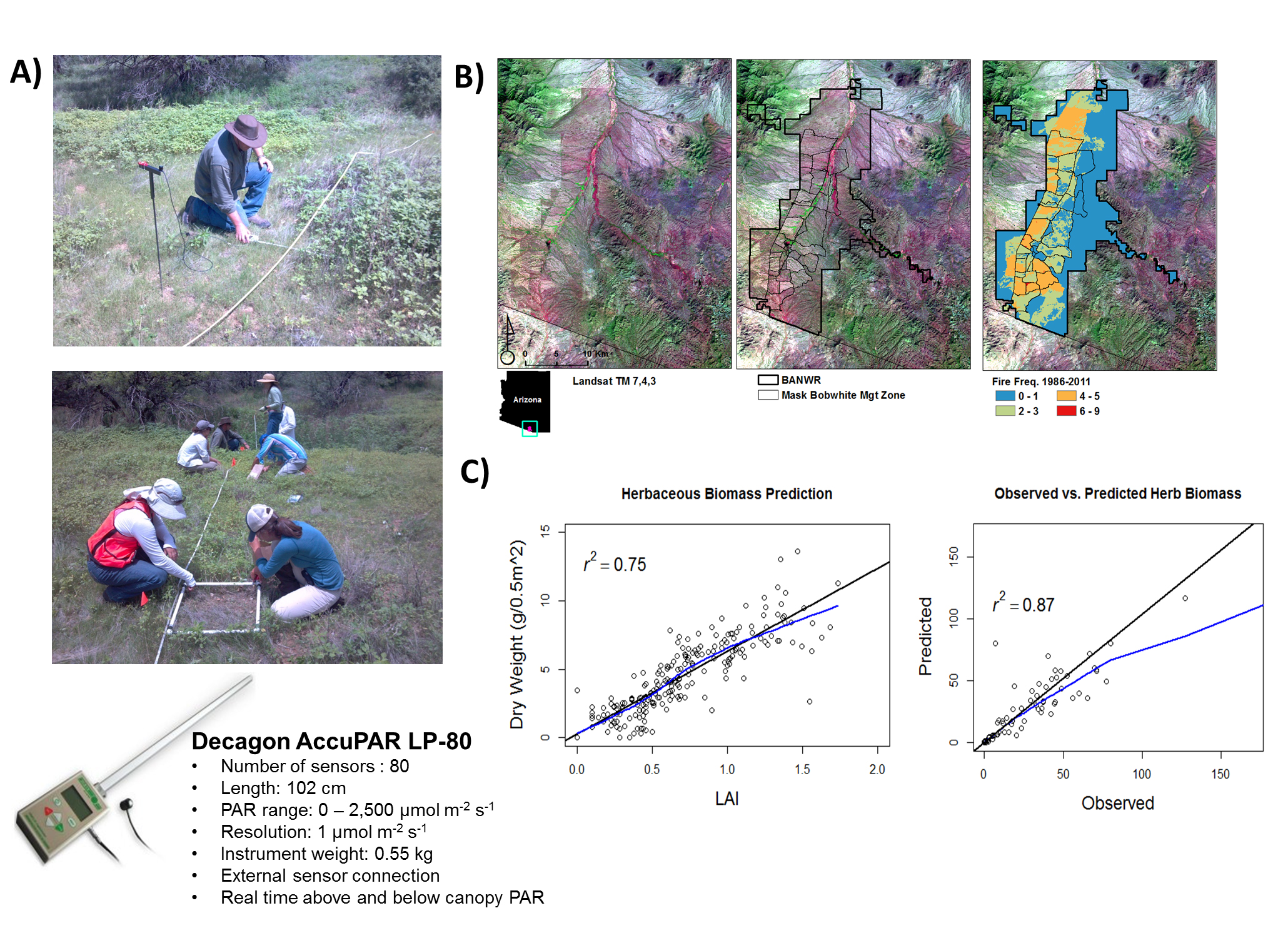 A) Ceptometer LAI measurements combined with destructive sampling for fine fuel and biomass model parameterization, B) Buenos Aires NWR 48,000-ha study site within the masked bobwhite management zone and fire frequency strata developed from the USFWS Fire Atlas and Landsat time series dNBR data, C) Scatterplot comparing LAI with dry biomass weight (right) and a comparison of dry biomass model predictions with validation biomass data left out of model development (left).