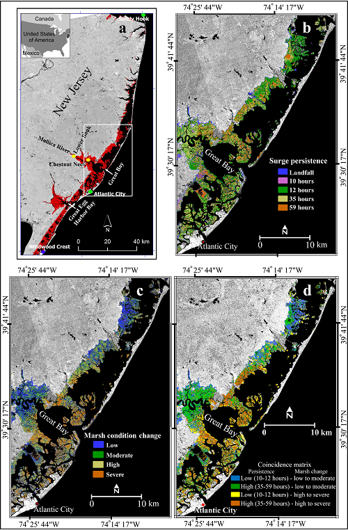 (a) New Jersey coastal marsh study area (marsh in red, box outlines area shown in b, c, and d. (b) Surge persistence, (c) marsh condition change maps, and (d) the coincidence matrix showing their spatial association.