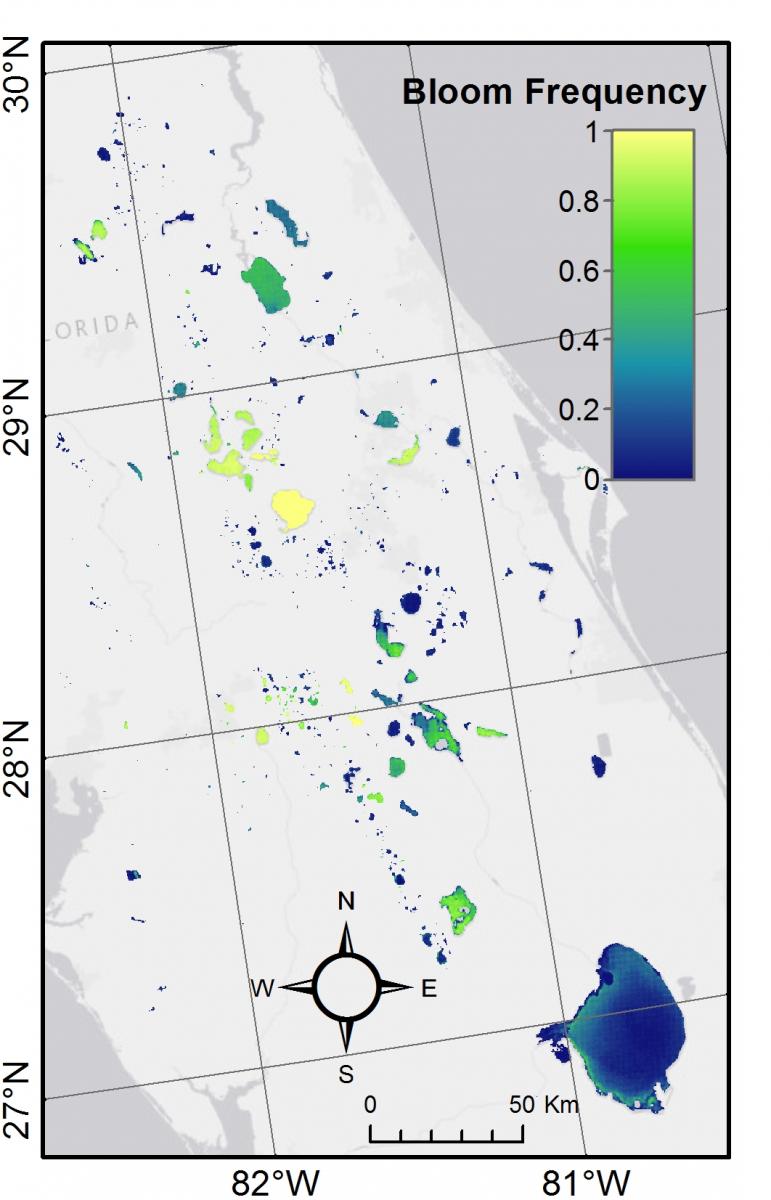 Map of the frequency of observed CyanoHAB occurrence above the World Health Organization (WHO) high threshold for risk of 100,000 cells per milliliter (cells mL−1) in central Florida lakes from 2008 through 2011. A value of 1 indicates that the pixel was observed to have CyanoHABs above the WHO threshold in all observations, and a value of 0 indicates that the pixel had no CyanoHABs above the threshold. Modified from figure 7, Clark and others, 2017.