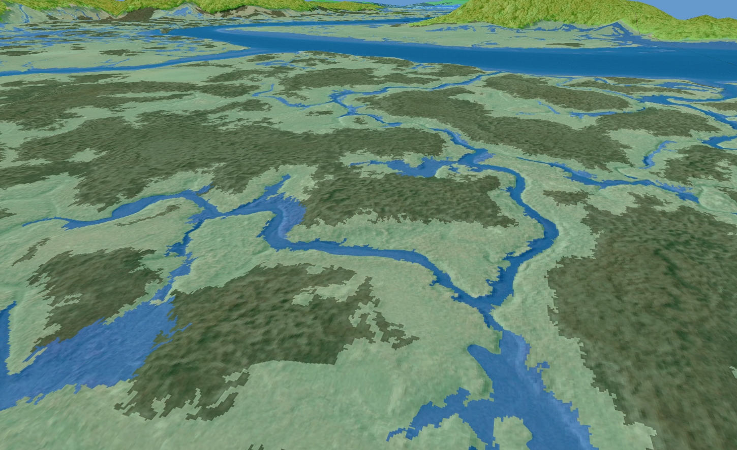 A 3D view of the salt marsh in TIMU using data produced in this project overlaid on top of the color infrared orthoimagery and lidar elevation data. The image shows Juncus (dark green), Spartina (light green), trees (bright green), and water (blue) at a 1:1,000 scale.