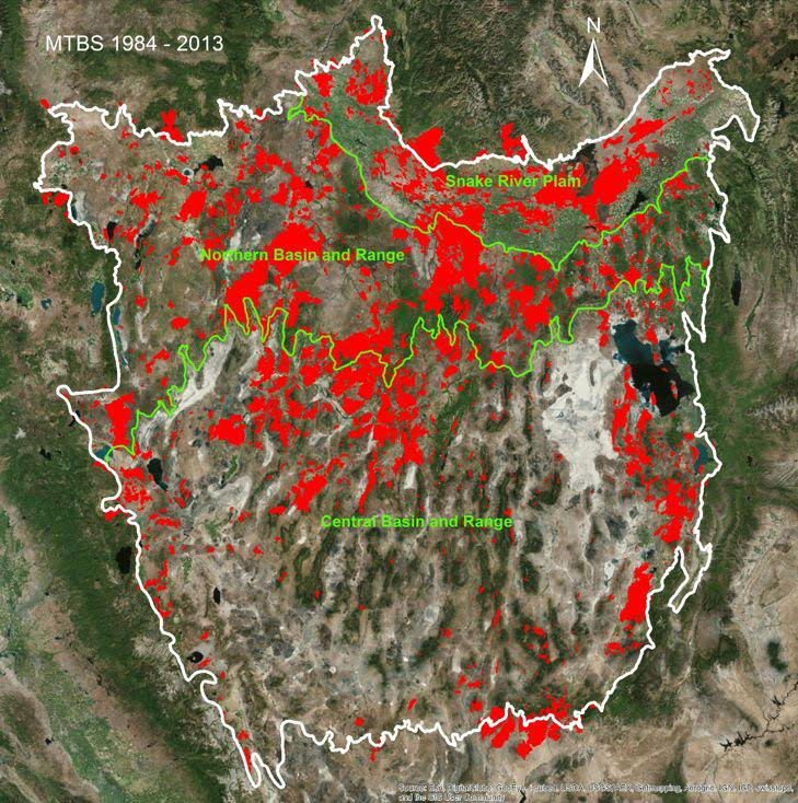 Red indicates areas burned at least once during 1984–2010 within the Great Basin.  Most of the burned areas are located in shrub and grasslands.  The northern portion of the region (especially within the Snake River Plain and the Northern Basin and Range ecoregions) had proportionately more fires than the southern portion of the region.  This information is useful for helping predict which areas are most likely to burn in the future.