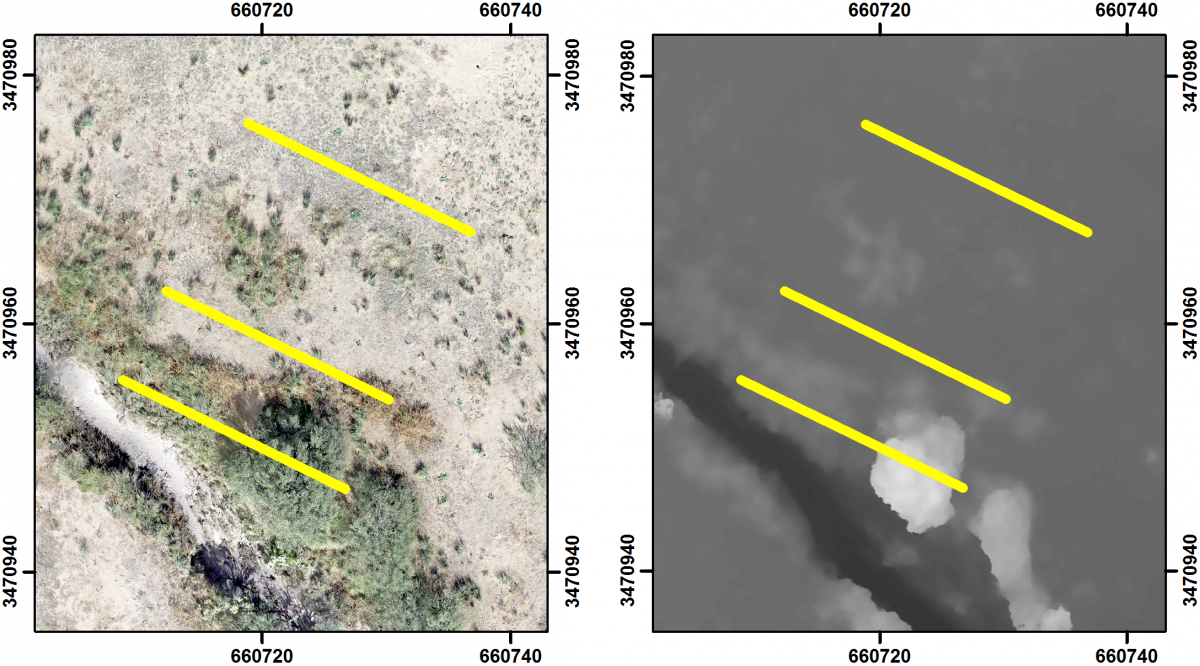Vegetation transects mapped on sUAS imagery (left) and derived digital surface model (right) before restoration at Wildcat Canyon near Douglas, Arizona. Wildcat Canyon channel is in the lower right of each image. Each transect is 20 m long. 