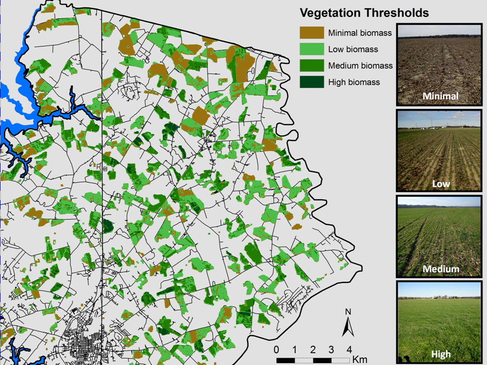 Wintertime biomass on agricultural fields following corn harvest, Talbot County, Maryland, showing the distribution of fields with minimal to high levels of vegetation.