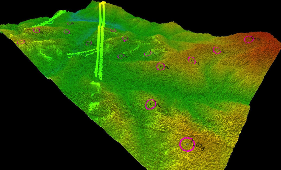 Example of the point cloud for one lidar tile. Power lines were classified before analysis.  Each magenta circle represents a field survey site.