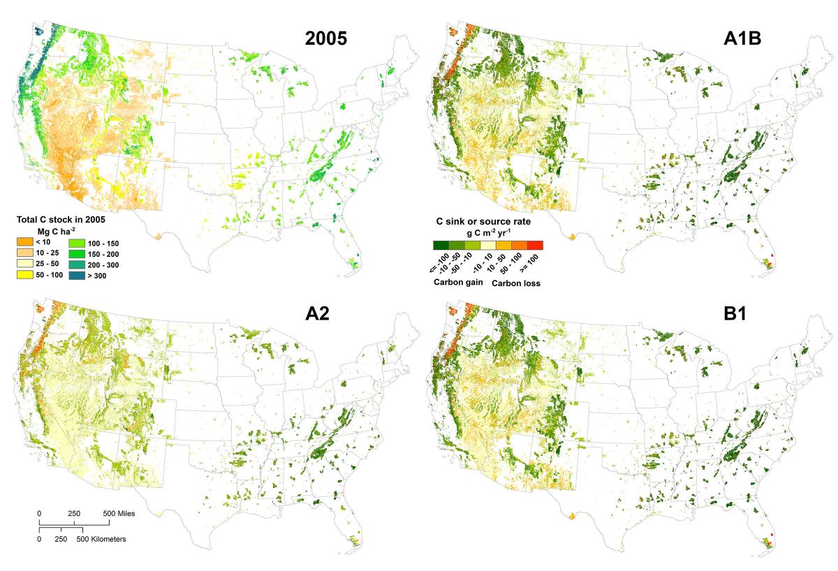(Top left) Spatial distribution of the contemporary (circa 2005) ecosystem carbon stock (in vegetation and the top 20-cm depth of soil, averaged from three model simulations) in Federal lands across the conterminous United States.  The other panels show carbon stock changes from 2006–2050 averaged from seven ensemble model simulations for each Intergovernmental Panel on Climate Change scenario (A1B, A2, and B1).