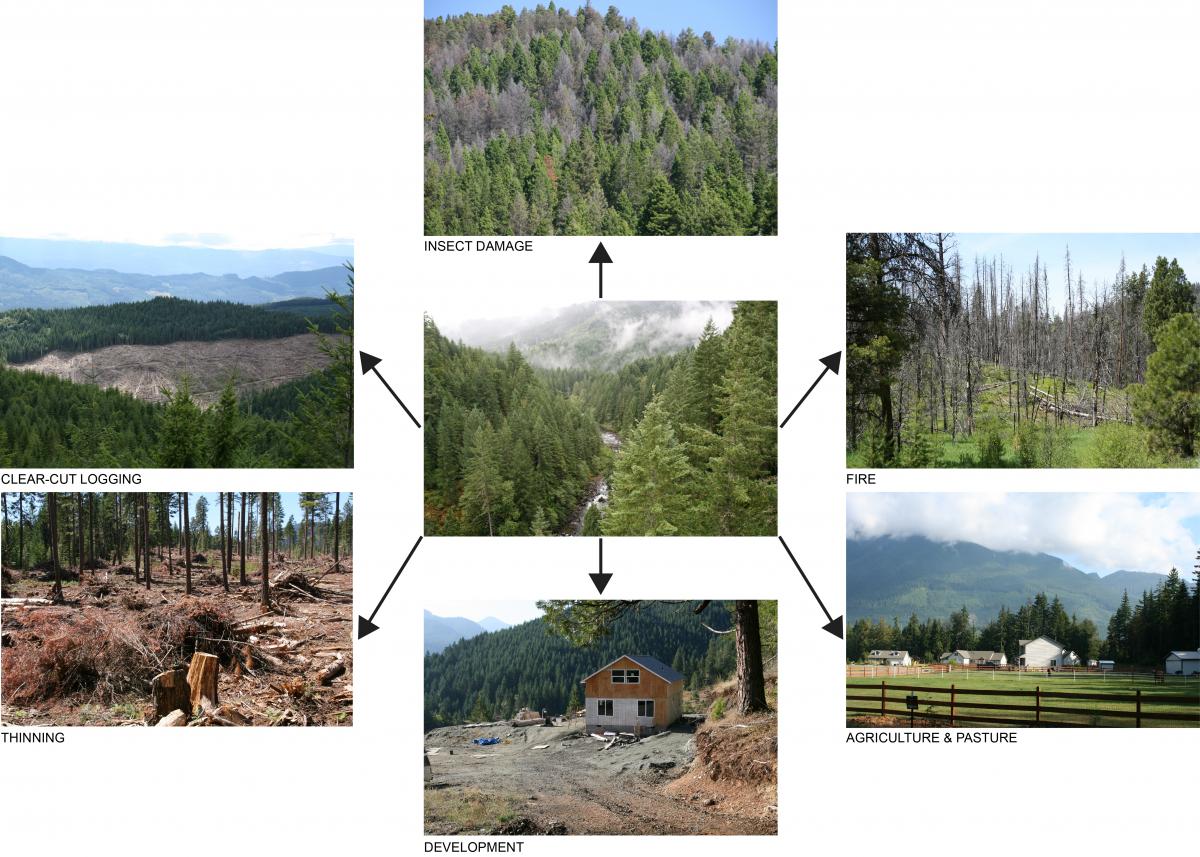 Initial work focuses on proximate causes of forest change in the Pacific Northwest.