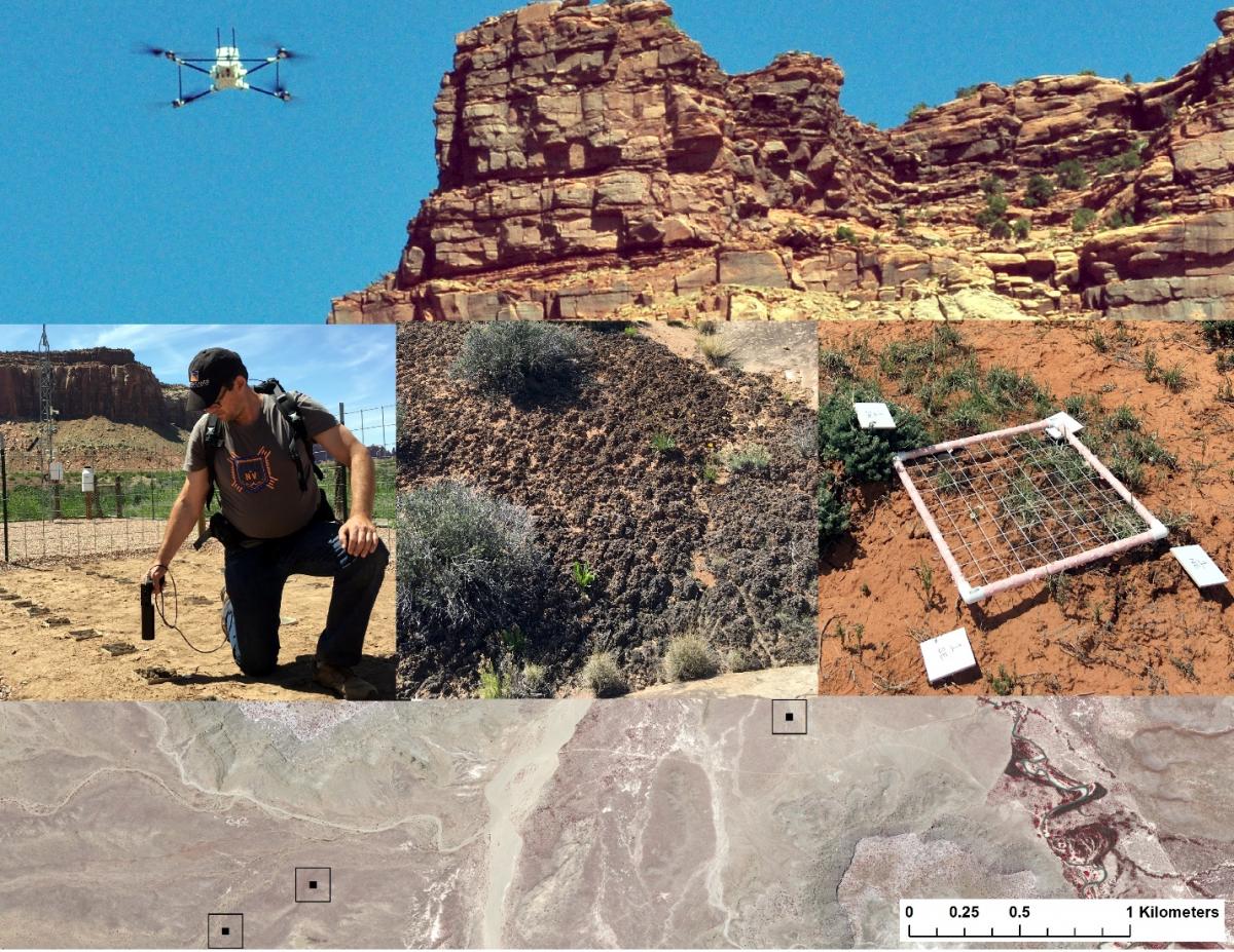 Unmanned Aerial Systems (UAS) were used to collect sub-centimeter color and near-infrared images of biological soil crust monitoring plots (top panel). Field spectra, crust community composition, and chlorophyll samples were collected at some field sites (center triptych). WorldView-3 multispectral imagery was collected of the study area coincident with UAS and field data collection (bottom panel).