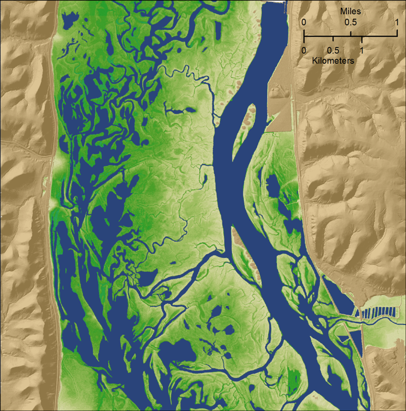 Flood duration for a portion of the Upper Mississippi River floodplain.  Dark green colors represent lower elevations and longer annual flood durations, while lighter colors represent higher elevations and shorter annual flood durations. Blue areas are permanently inundated.