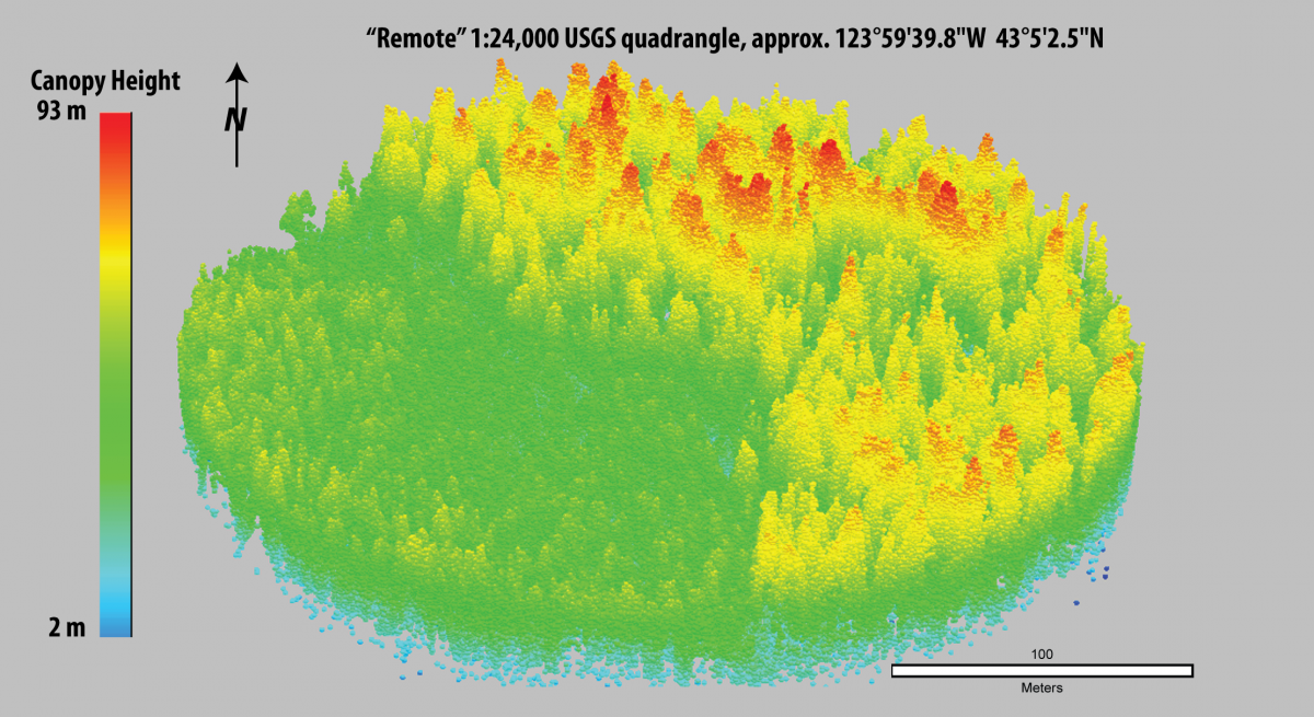 Lidar point cloud image depicting contrast between forest stand with tall trees (right) comprising highly suitable nesting habitat for marbled murrelets, and unsuitable young forest (left) in the Oregon Coast Ranges, USA.
