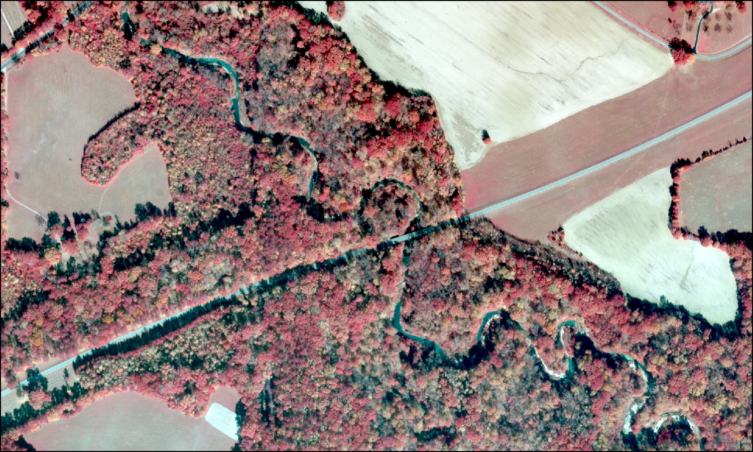 Color infrared photograph of the Natchez Trace Parkway as it crosses Fivemile Creek between Jackson and Natchez, Mississippi, showing a diversity of forests in a working agricultural landscape.