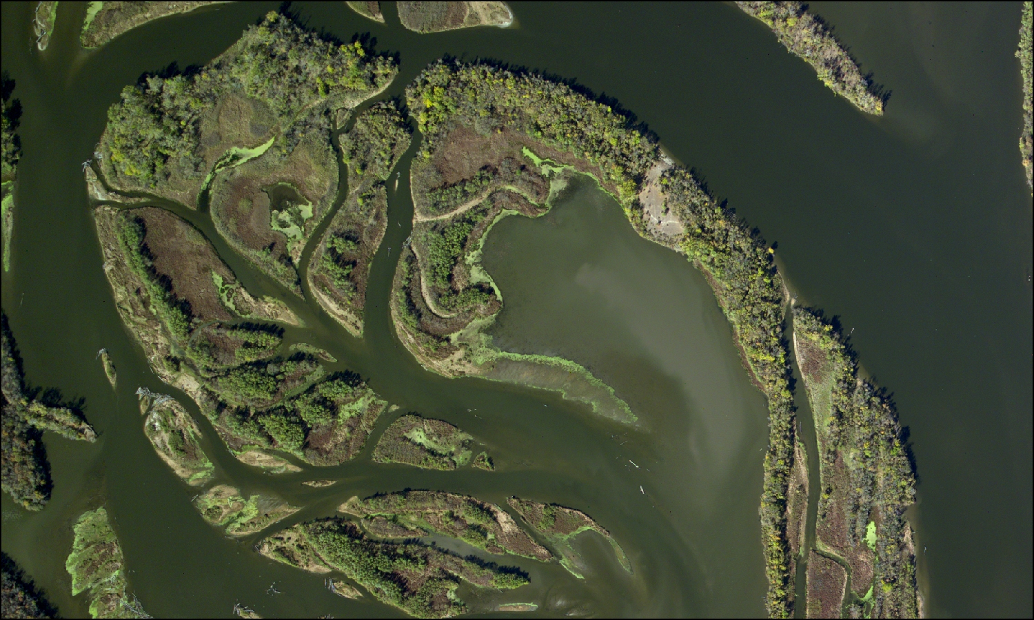 The island complex at the north end of Spring Lake, Pool 2, in the Mississippi National River and Recreation Area shows a variety of floodplain forests, wetlands, and aquatic vegetation (four-band digital image including red, green, blue, and near-infrared).