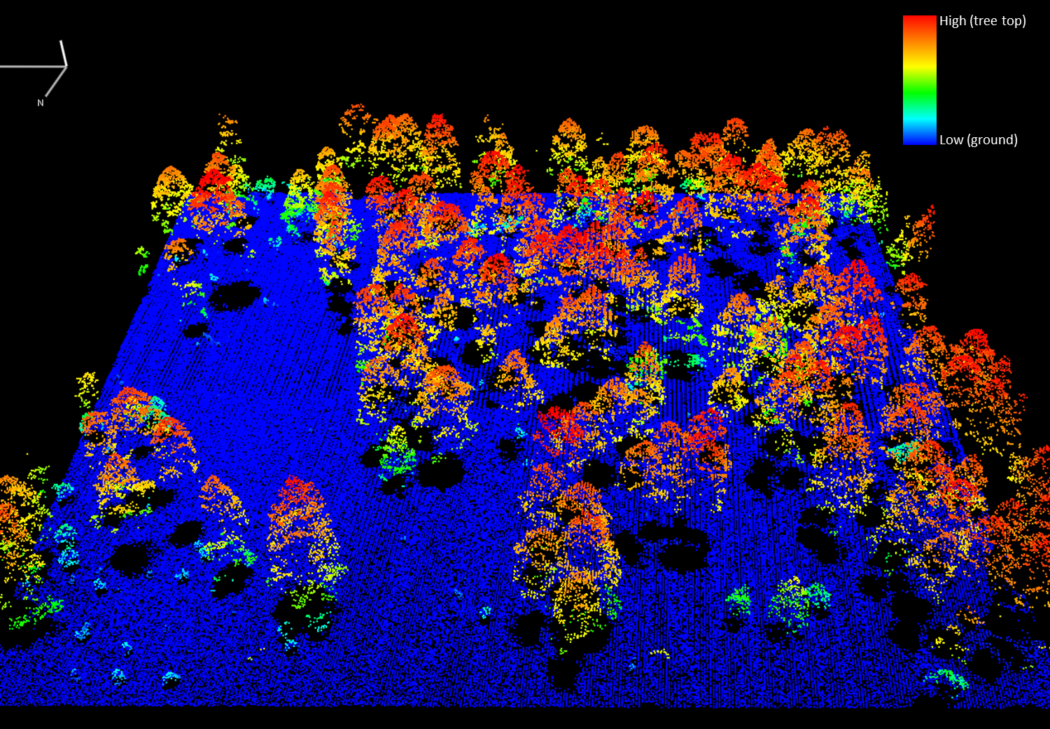 Lidar point cloud of a Ponderosa pine plot on the San Carlos Apache Reservation. Colors reflect  tree height above ground level, from low (cyan) to high (red).