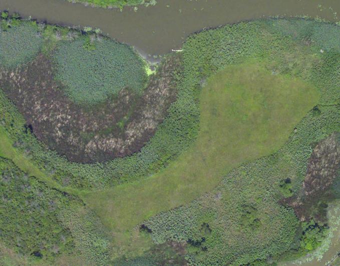 True color aerial photographic image of Ottawa National Wildlife Refuge wetlands.