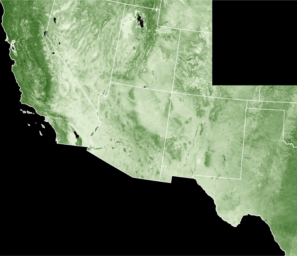 Landsat image-derived vegetation cover for the Southwest/Great Basin region of the U.S.  The darker colors represent dense vegetation cover, while the light colors show sparser areas.  This data allows for existing LANDFIRE surface fuel layers to be refined using current estimates of herbaceous cover.