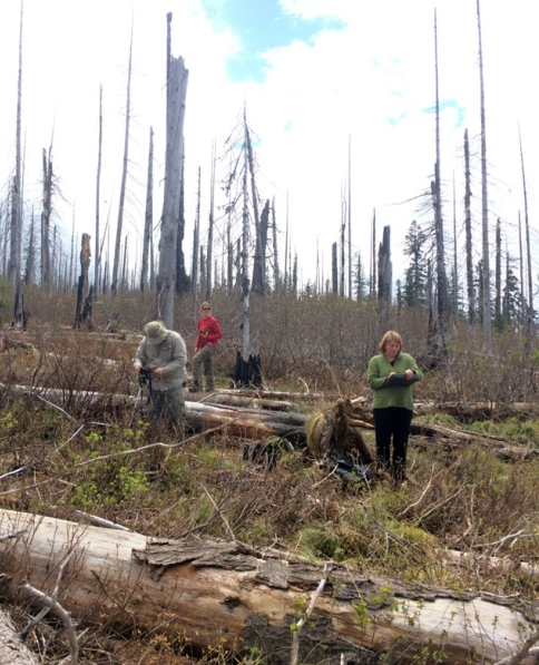 In this May 2016 image, LANDFIRE team members are pictured gathering new field data in a remap prototype area of central Idaho.