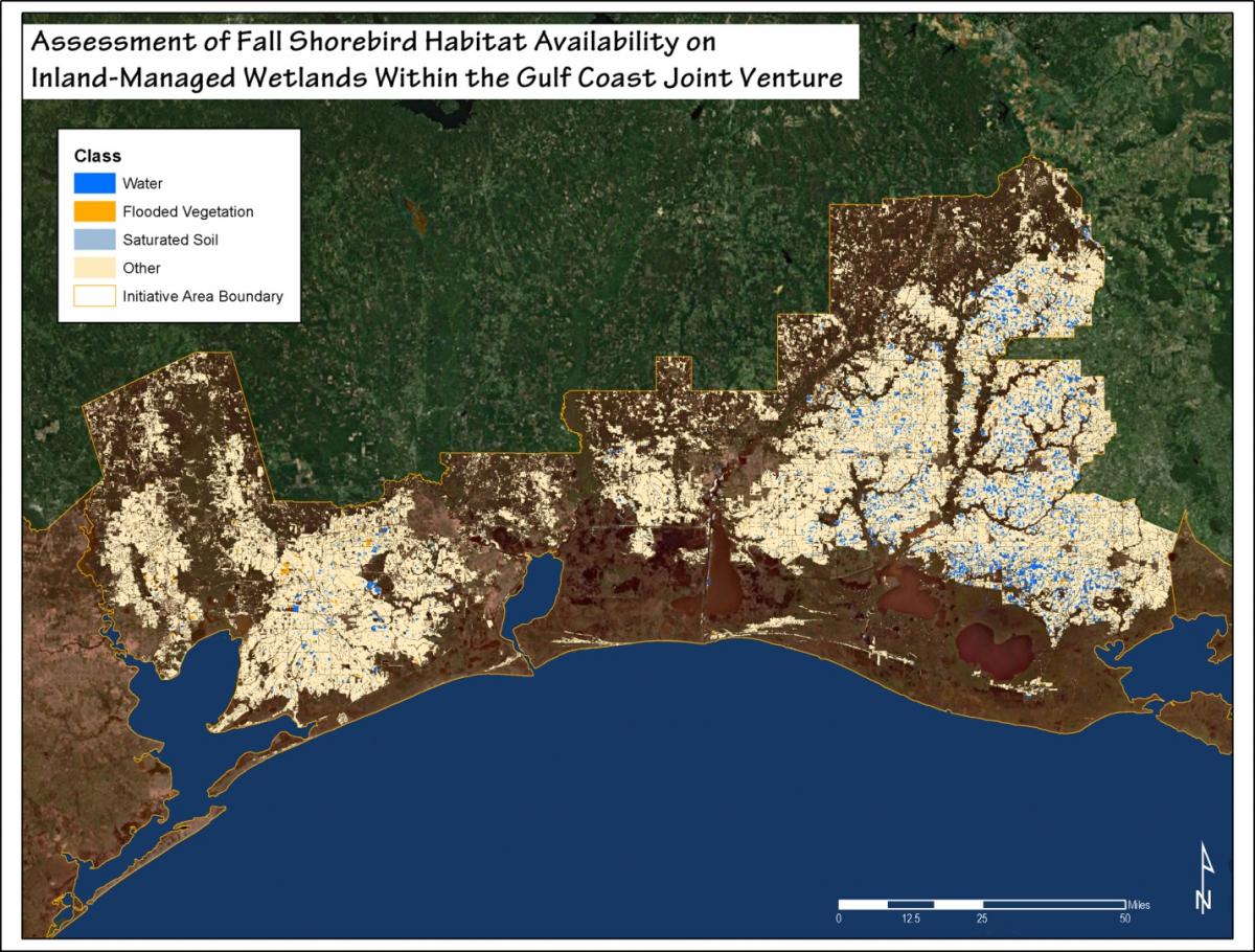 Gulf Coast Shorebird Habitat Availability Map 