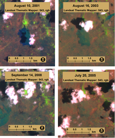 Landsat images depicting 2010 Fire and Recovery.