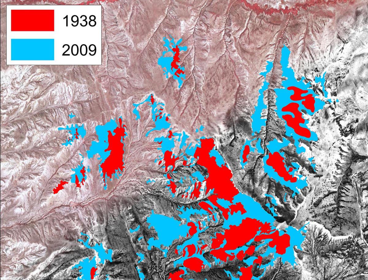 An area in southern Wyoming depicted by 2009 NAIP color infrared imagery.  All density classes of juniper stand area (1-100% combined) are depicted for 1938 (red) and 2009 (blue), illustrating the large expansion of juniper over time.