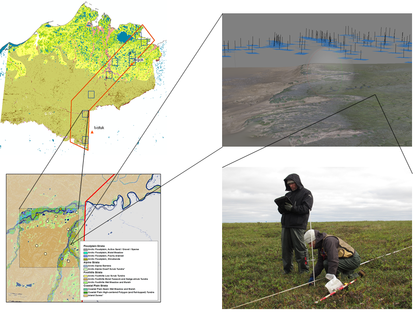 AIM sampling design, remote sensing, and field data collection in the NPR-A.  The figure above highlights the overall structure for the sampling and data collection conducted in August 2012.  Ten 10x10 mile frames were randomly selected within the study area (outlined in red).  Using vegetation maps of the North Slope, sample plots were selected using a stratified random design.  At each field plot, ground crews collected the AIM core indicators using a Line-Point Intercept method while an aerial crew collected 1cm stereo imagery using a Nikon D800 mounted on a helicopter.  The ground and aerial imagery will be analyzed to identify which AIM core indicators can accurately be estimated remotely. 