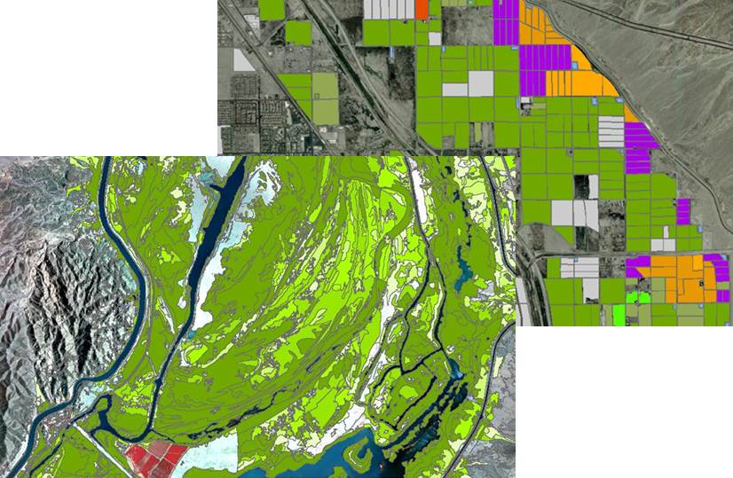 Riparian and Agriculture GIS database generated from remote sensing processes. 