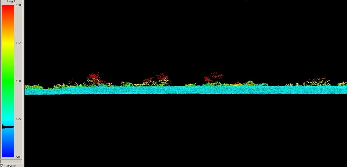 Lidar point cloud cross section showing shrub and tree height (feet).