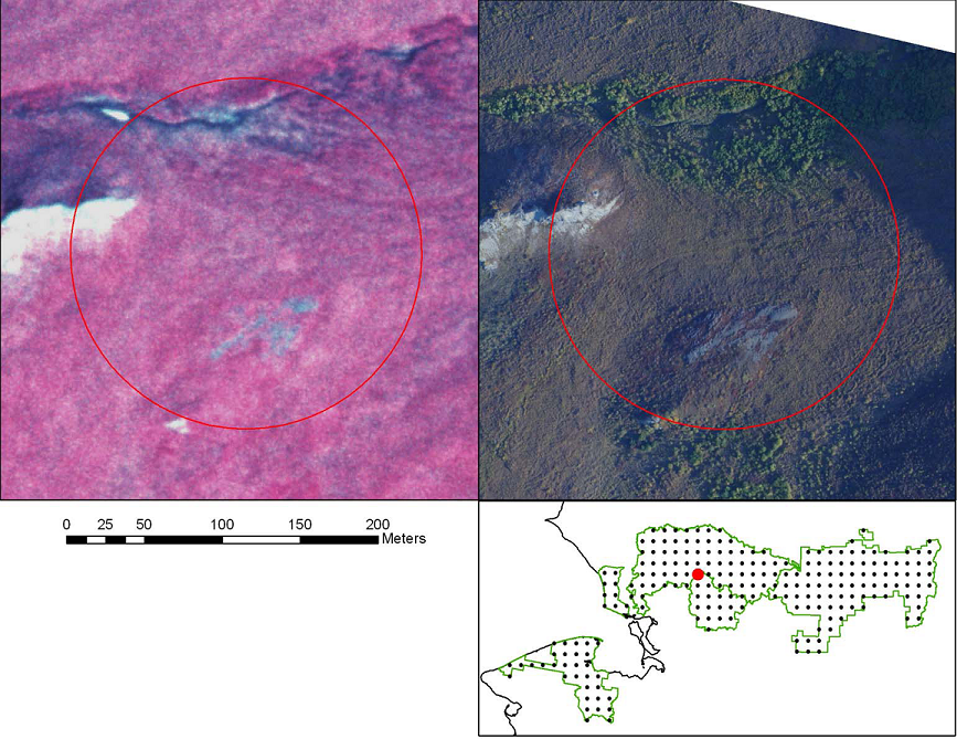 Left  image shows mostly herbaceous and low shrub vegetation in 1979 (Alaska High Altitude Aerial Photography (AHAP) Program color infrared photo).  On right, this area  was colonized by tall shrubs by 2008 (small-format true color photo)