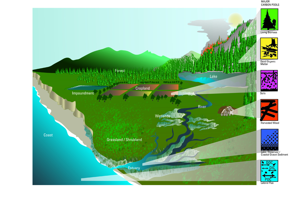 Diagram of the terrestrial ecosystems and major carbon pools covered in the assessment