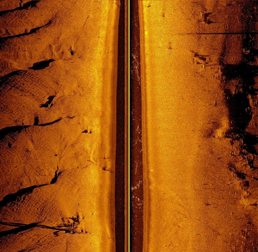 Side-scan sonar image of West Newton Chute, Upper Mississippi River Navigation Pool 5