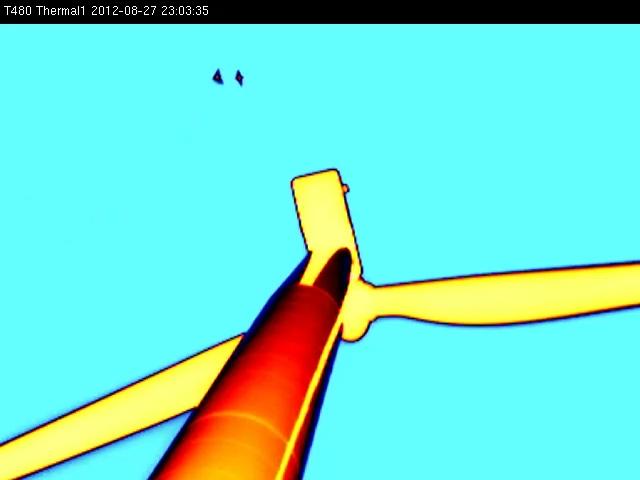 Still image of thermal video showing two bats chasing each other at night behind an operating wind turbine.