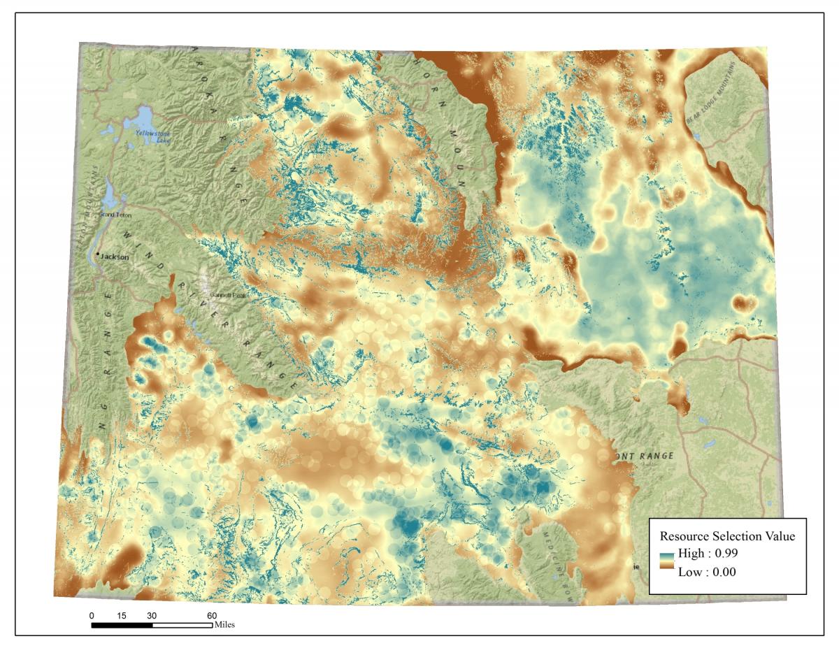 Relative habitat quality for nesting golden eagles across Wyoming.