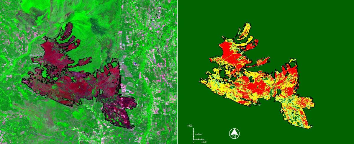 Landsat 8 post-fire image (May 16, 2017; left) and preliminary soil burn severity map (May 19, 2017; right) for the May 2017 West Mims fire in Georgia/Florida’s Okefenokee National Wildlife Refuge.  The fire burned over 152,000 acres. Within the post-fire image, the burn scar is medium to bright red while vegetation is various shades of green. Within the burn severity map, dark green is non-burn, light blue is low severity, yellow is moderate severity, and red is high severity. The burn perimeter is designated by a black polygon in both images. Each image covers an area 34 miles (N-S) by 41 miles (E-W).
