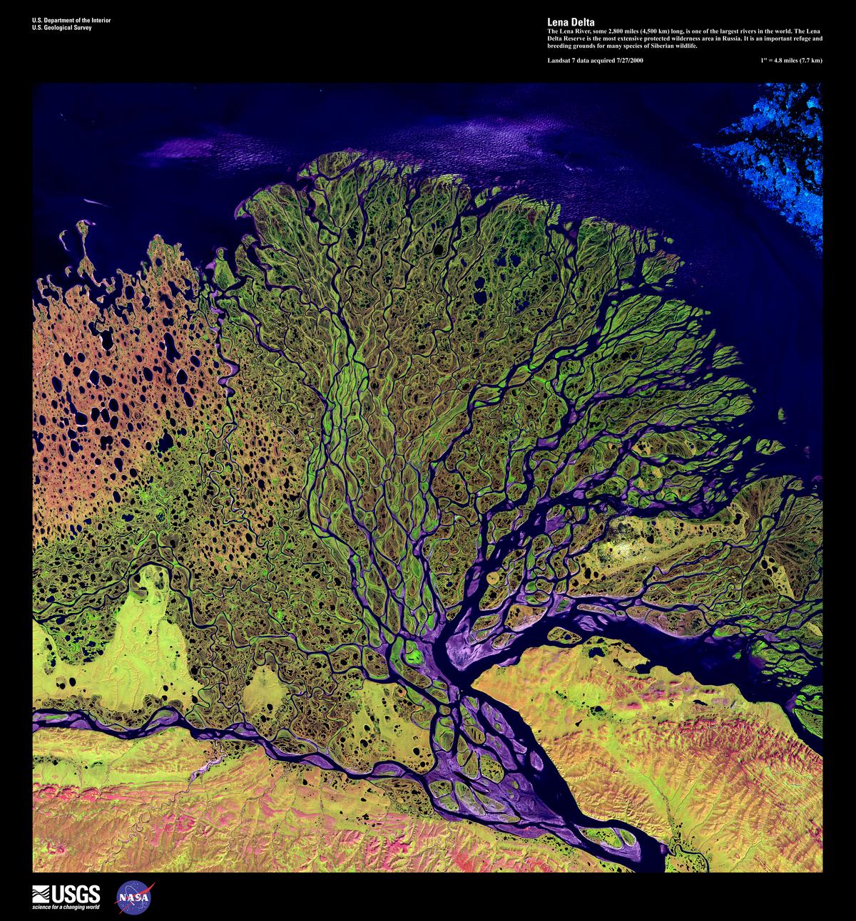 Image of the Week - Lena Delta