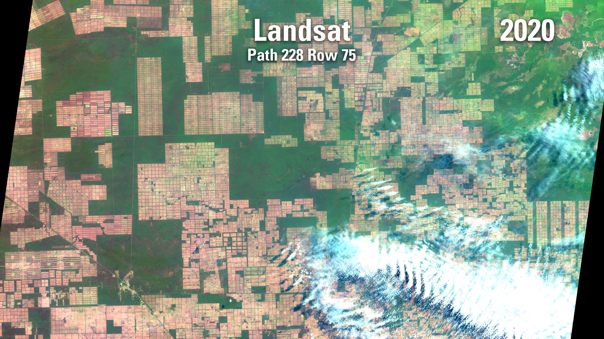Landsat image of Paraguay, 2020