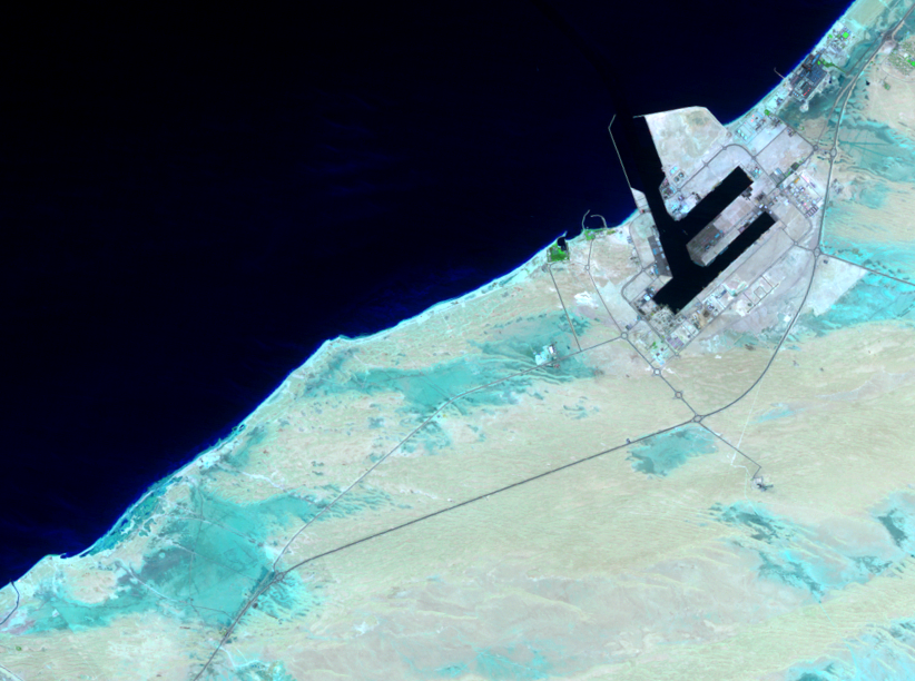 May 3, 1991, Landsat 5 (path/row 160/42,43) — Palm Jebel Ali, Dubai, United Arab Emirates